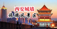 二次元美女操逼照片中国陕西-西安城墙旅游风景区